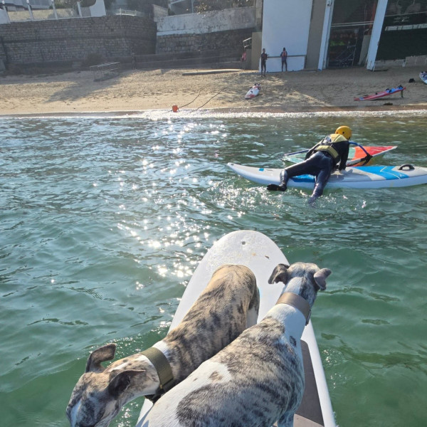 赤柱正灘捕風一族（圖片來源︰FB@捕風一族Hiwindlover Water Sport Centre）