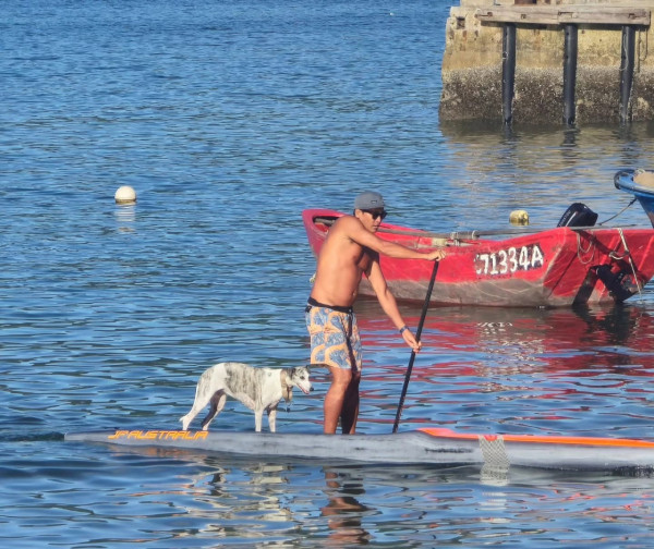 赤柱正灘捕風一族（圖片來源︰FB@捕風一族Hiwindlover Water Sport Centre）