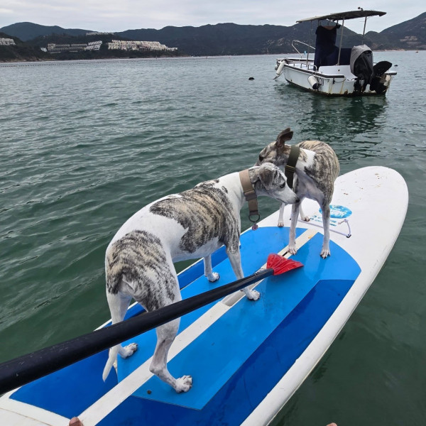 赤柱正灘捕風一族（圖片來源︰FB@捕風一族Hiwindlover Water Sport Centre）