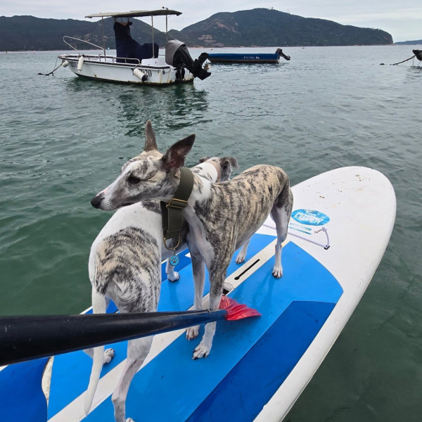 赤柱正灘捕風一族（圖片來源︰FB@捕風一族Hiwindlover Water Sport Centre）