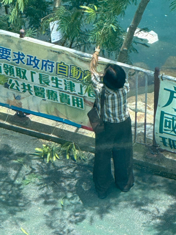 香港街邊野花野草切勿採摘!將軍澳大媽瘋採毒豆莢引恐慌 盤點市區4大劇毒植物