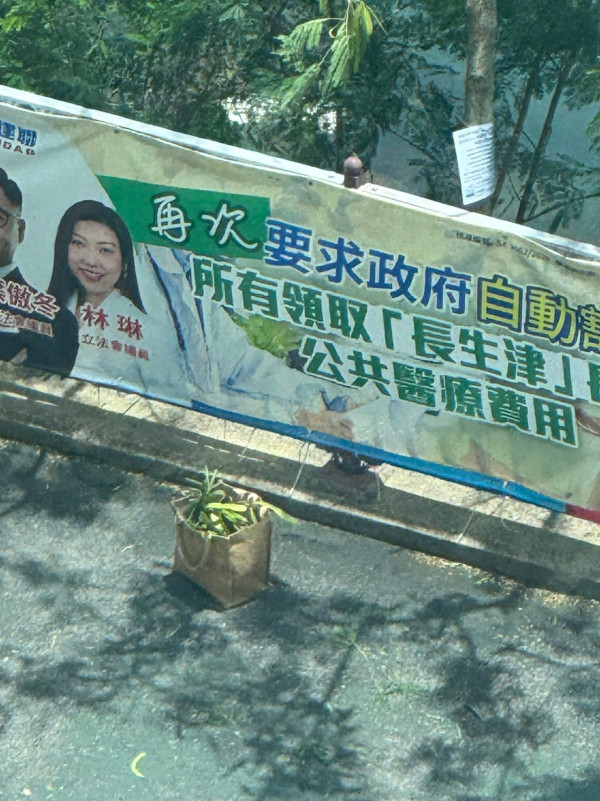 香港街邊野花野草切勿採摘!將軍澳大媽瘋採毒豆莢引恐慌 盤點市區4大劇毒植物
