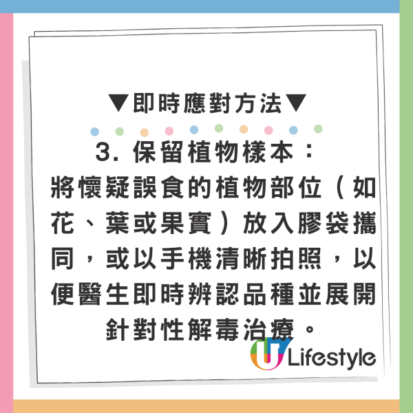 香港街邊野花野草切勿採摘！將軍澳大媽瘋採毒豆莢引恐慌 盤點市區4大劇毒植物