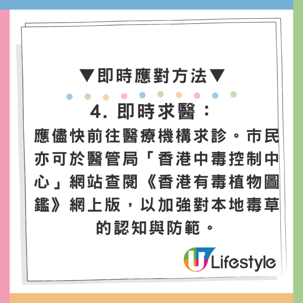 香港街邊野花野草切勿採摘！將軍澳大媽瘋採毒豆莢引恐慌 盤點市區4大劇毒植物