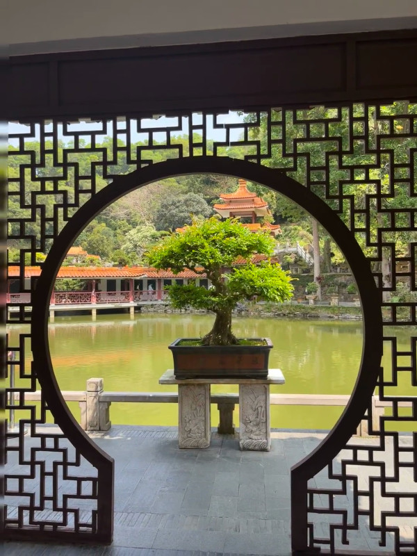 圖片來源:小紅書@小橙子🍊 長者優惠必看!深圳8大長者免費景點合集!植物園/博物館/海岸Citywalk附輕鬆遊路線