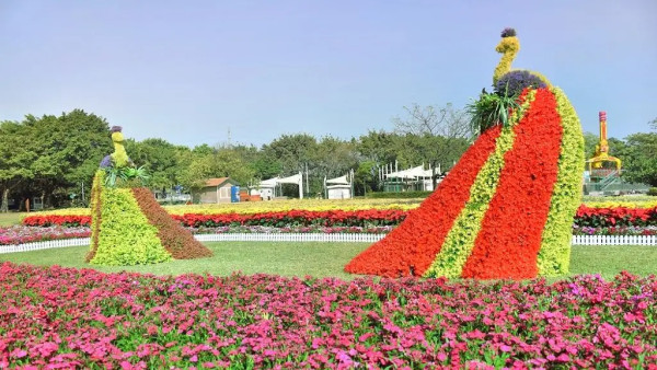 圖片來源:Trip.com 長者優惠必看!深圳8大長者免費景點合集!植物園/博物館/海岸Citywalk附輕鬆遊路線