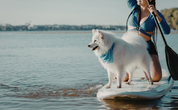 直立板體驗（圖片來源︰Canva）