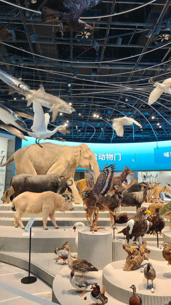 深圳新好去處!華南最大深圳自然博物館開幕 8大展廳震撼恐龍化石 附交通攻略+票價