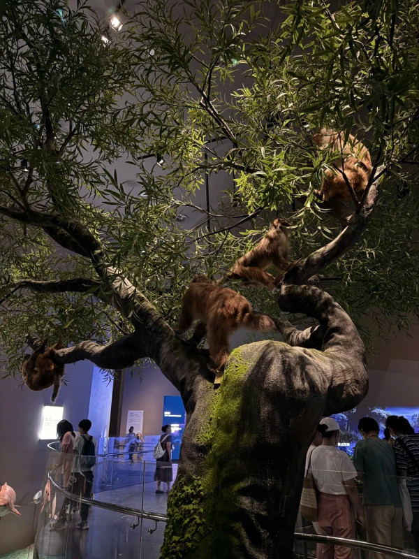 深圳新好去處!華南最大深圳自然博物館開幕 8大展廳震撼恐龍化石 附交通攻略+票價
