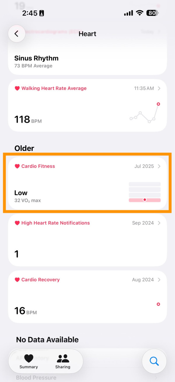 Apple內置健康App唔識用？1隱藏數據或揭示真實「生命值」 即睇數值背後意義【優秀定要小心？】