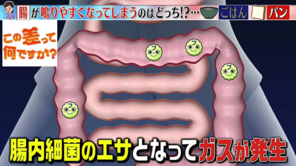 開會搭𨋢個肚咕嚕叫超尷尬?日本節目拆解腸鳴2大成因 教一動作極速化解
