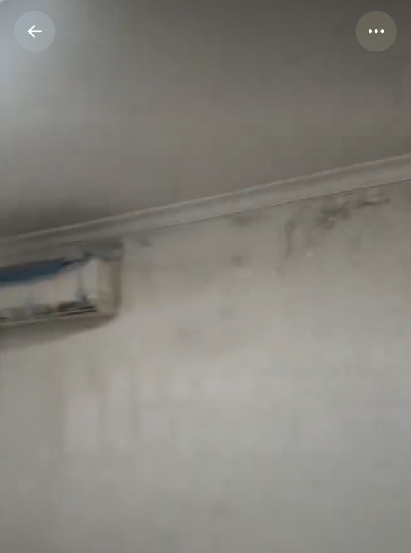 一家屡生病查无因！撕开墙纸惊见全屋“墨汁黑霉”成毒气室 小心3大致病危害！