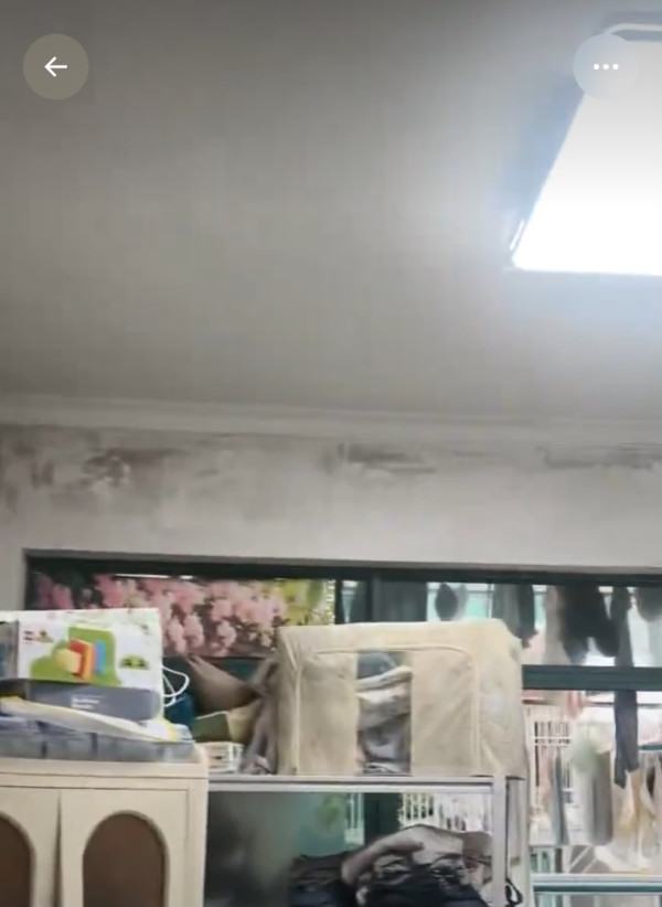 一家屡生病查无因！撕开墙纸惊见全屋“墨汁黑霉”成毒气室 小心3大致病危害！