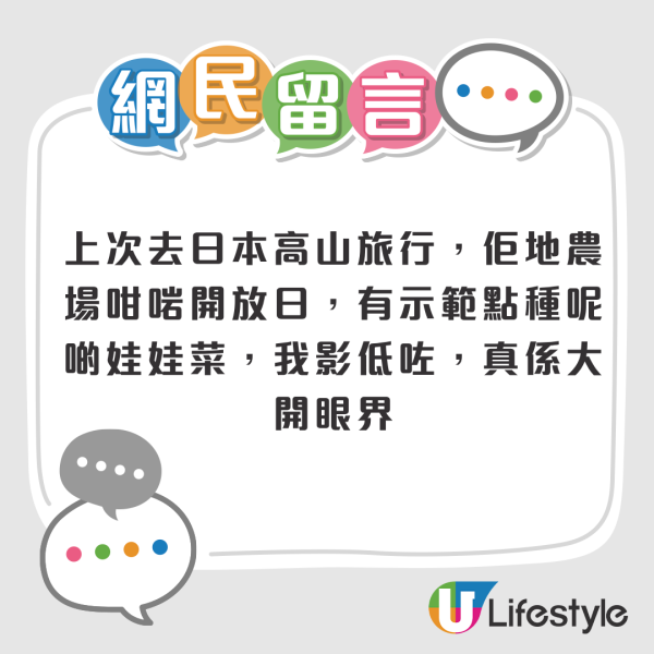 娃娃菜到底怎么装袋？港人疑惑到像真空，揭秘包装过程全靠1招：血汗钱不好赚