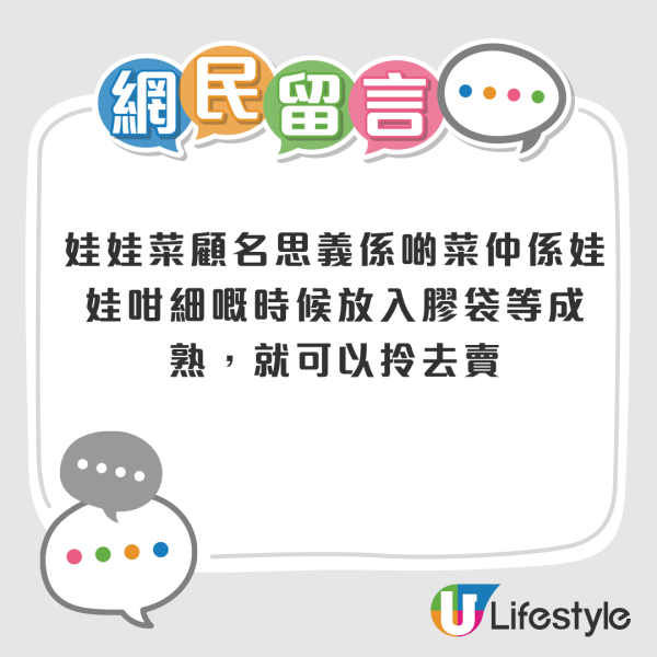 娃娃菜到底怎么装袋？港人疑惑到像真空，揭秘包装过程全靠1招：血汗钱不好赚