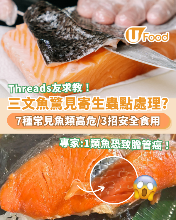 三文魚驚見寄生蟲成Threads熱話！專家警告1類魚恐致膽管癌／7大高危常見魚類 (教3招安全食用)