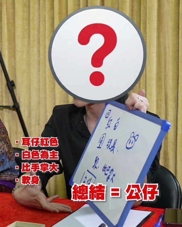 玄战TVB｜第二轮面试惊现神准高手！参赛者挑战“即场估算六合彩”验真章