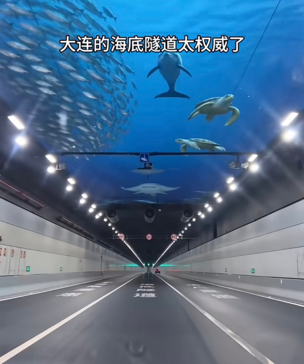 大連夢幻「玻璃海底隧道」震撼網民？家長專程打卡僅見水泥牆、小朋友崩潰大哭 官方急闢謠：為AI假圖