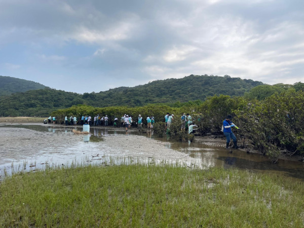守望海洋招募白泥义工！台风后惊现鬼网废弃物 免费包车+保险体验一日科学家