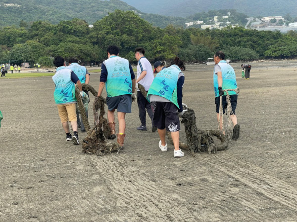 守望海洋招募白泥义工！台风后惊现鬼网废弃物 免费包车+保险体验一日科学家