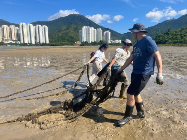 守望海洋招募白泥义工！台风后惊现鬼网废弃物 免费包车+保险体验一日科学家
