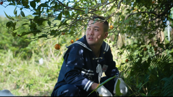 圖片來源:Netflix 截圖 Netflix《不良一族尋愛記》第二季沖繩重磅回歸!盤點5大同款景點:250米海上飛索、叢林越野車