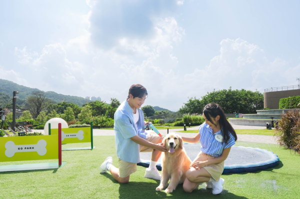 西沙GO PARK「GO Paw-Athlon」萌寵三項鐵人打卡賽︰萌寵激爽嬉水樂園（相片由相關機構提供）