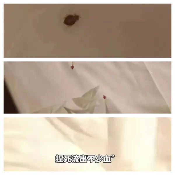 圖片來源:觀察者網 圖片來源:觀察者網