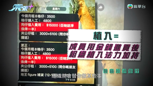 银行高管“沉船”爆案中案！惊揭邪教洗脑操控卖淫被吞600万，幕后黑手讲多错多