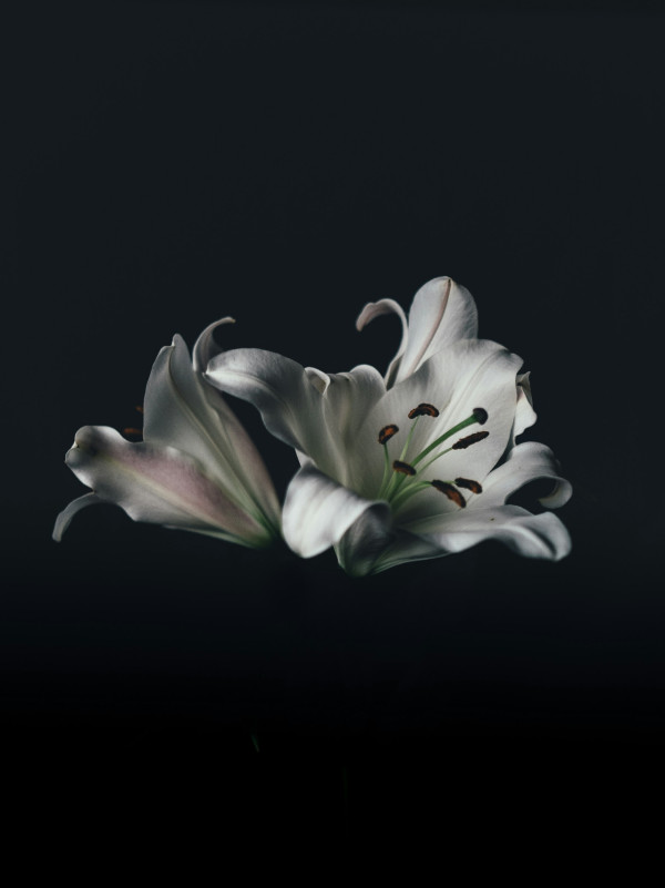 喪禮禁忌（來源：Unsplash）