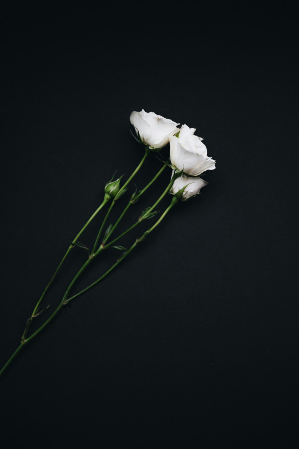 喪禮禁忌（來源：Unsplash）