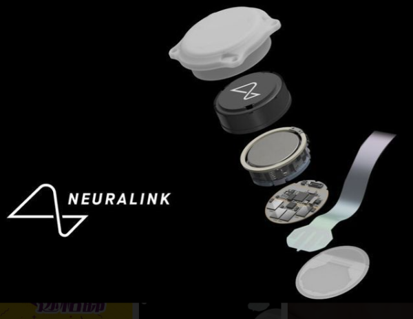 醫療新突破！馬斯克宣佈Neuralink「盲視晶片」最快半年植入人體 先天全盲或重見光明