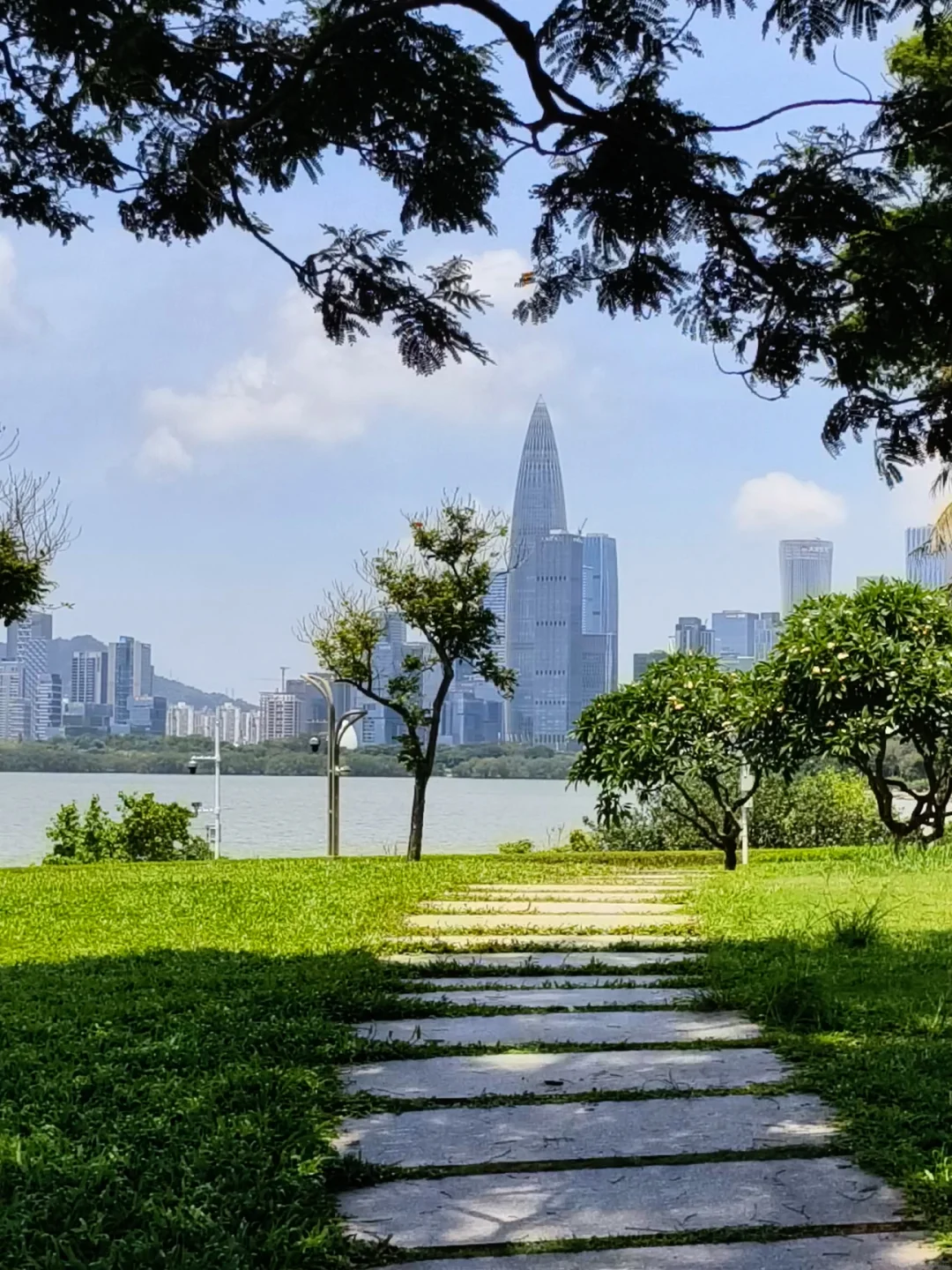 深圳灣公園(圖片來源:小紅書@阮阮) 別只去商場打卡!2026深圳免費公園Top10榜單 日落海景/古風園林/親子放電全集(附地鐵交通)
