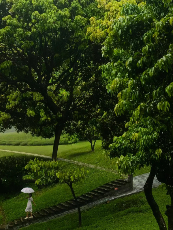 中山公園(圖片來源:小紅書@恬美の旅行) 別只去商場打卡!2026深圳免費公園Top10榜單 日落海景/古風園林/親子放電全集(附地鐵交通)