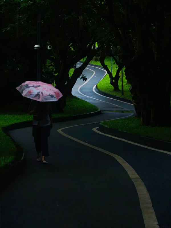 中山公園(圖片來源:小紅書@恬美の旅行) 別只去商場打卡!2026深圳免費公園Top10榜單 日落海景/古風園林/親子放電全集(附地鐵交通)