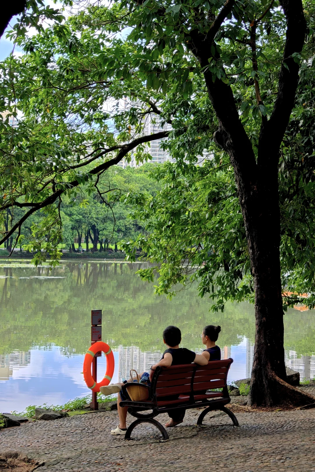 荔枝公園(圖片來源:小紅書@阿酸633) 別只去商場打卡!2026深圳免費公園Top10榜單 日落海景/古風園林/親子放電全集(附地鐵交通)
