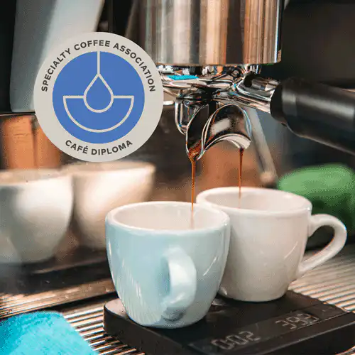 Reyach Coffee(圖片來源︰Reyach Coffee)