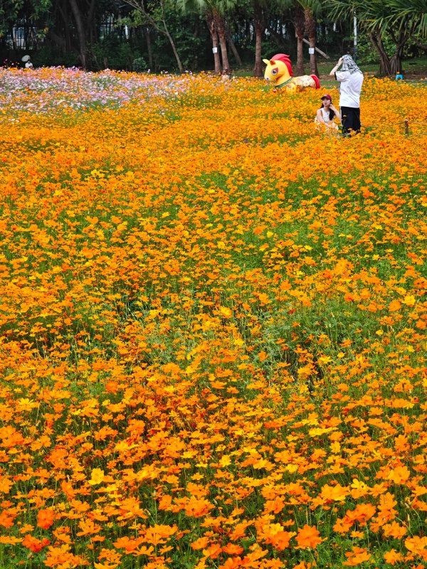 東湖公園(圖片來源:小紅書@深圳游小噫) 別只去商場打卡!2026深圳免費公園Top10榜單 日落海景/古風園林/親子放電全集(附地鐵交通)