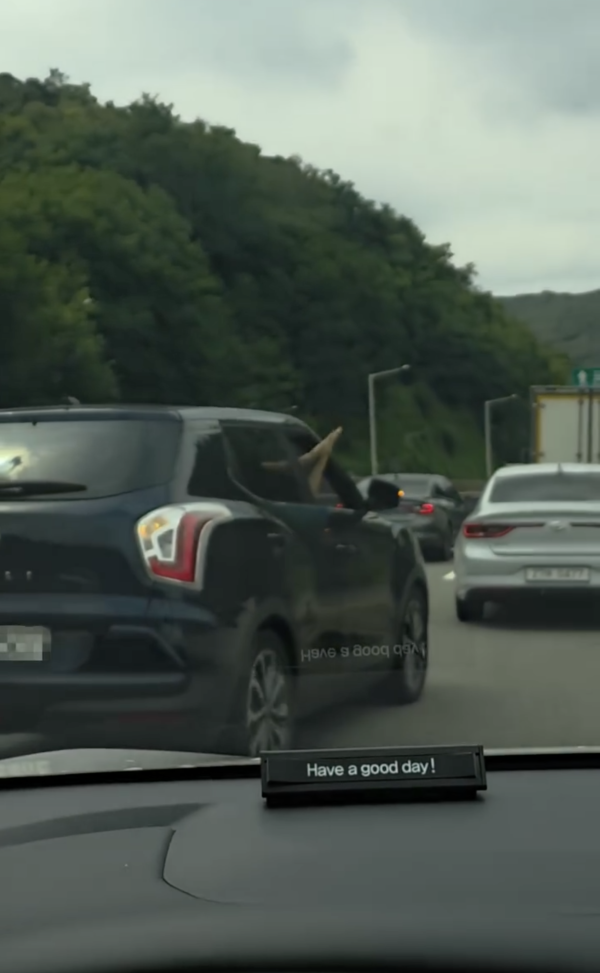 打尖竟無人鬧？韓國車切線影片網絡爆紅！乘客位1舉動反獲網民大讚【有片睇】