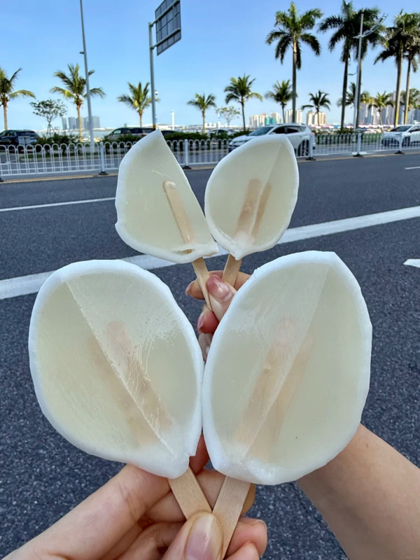 圖片來源:小紅書@叫我美少女 珠海甜品推薦|珠海香洲區8間必試甜品店!中藥Gelato/雪糕梳乎厘/深夜廣式糖水