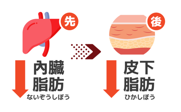 森下仁丹与京都大学联合研发的“专利玫瑰果多酚 MJ”,获日本及美国等多国专利认证