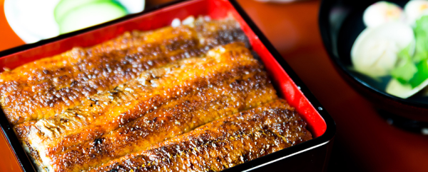 unagi-okafuji