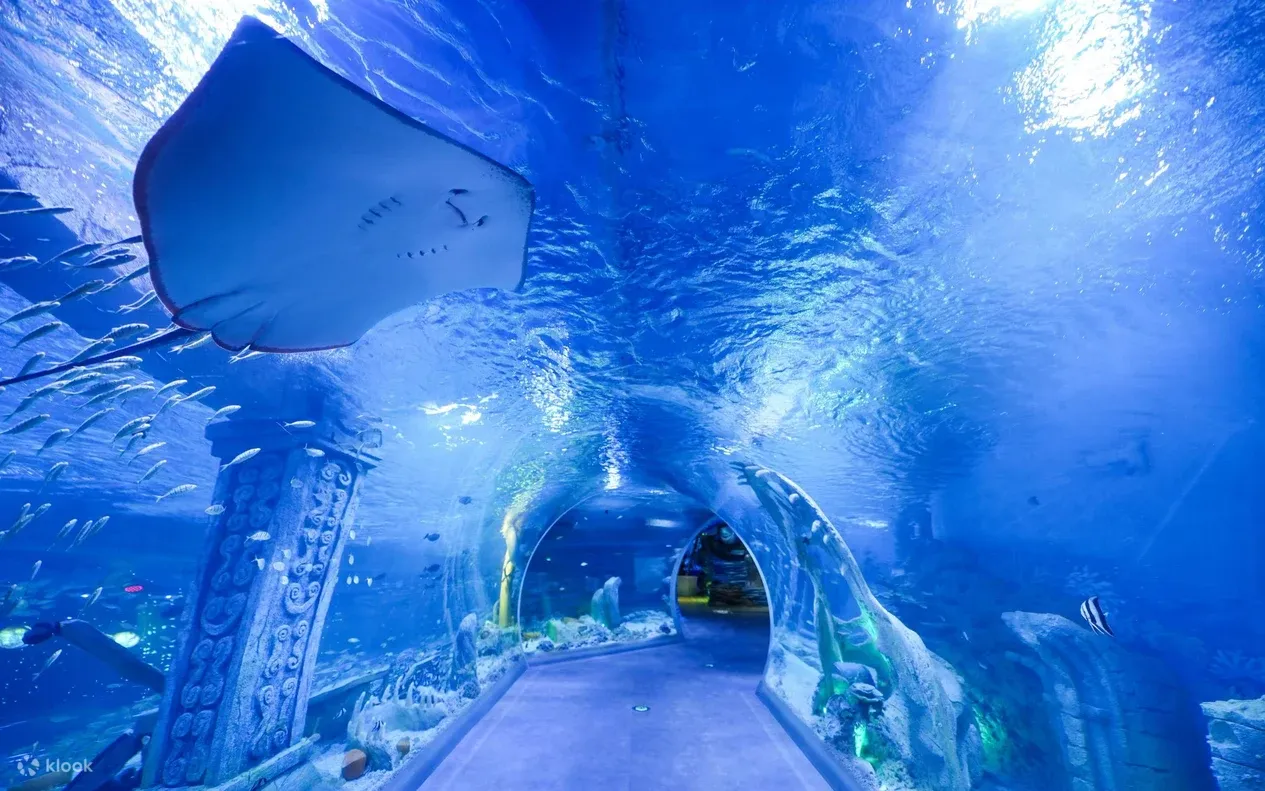 恆遠海立方環遊城(圖片來源:Klook) 深圳水族館推介|小梅沙、觀瀾海洋世界 60米海底隧道穿梭睇美人魚表演