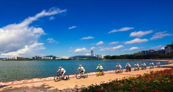 深圳市城市管理與綜合執法局