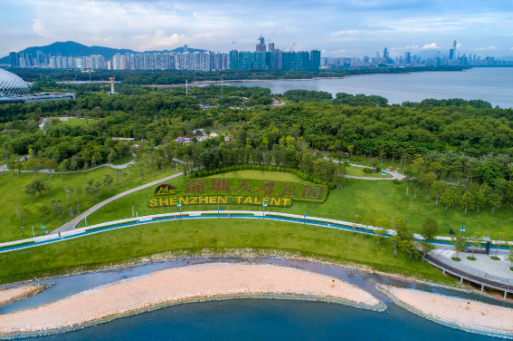 深圳市城市管理與綜合執法局