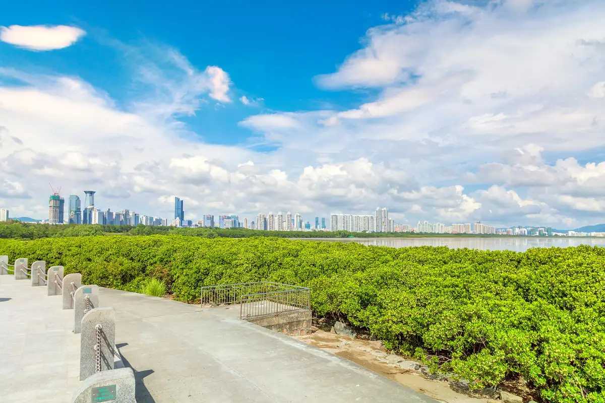 hk.trip.com