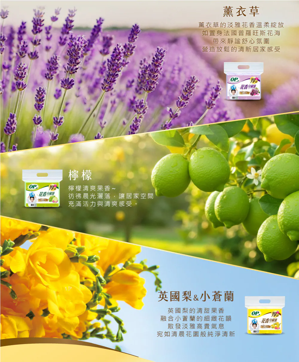 去台灣不買鳳梨酥?遊客狂掃「1居家神物」網民列4大優勢:真的好用!