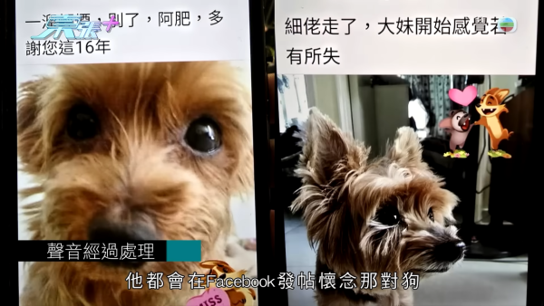 港婦三料自殺獲救後遭離棄!控訴前夫設局呃供樓過百萬!物業竟是「長命契」兼有奶奶名