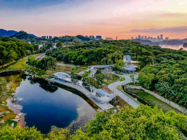 深圳市南山區人民政府 深圳市南山區人民政府