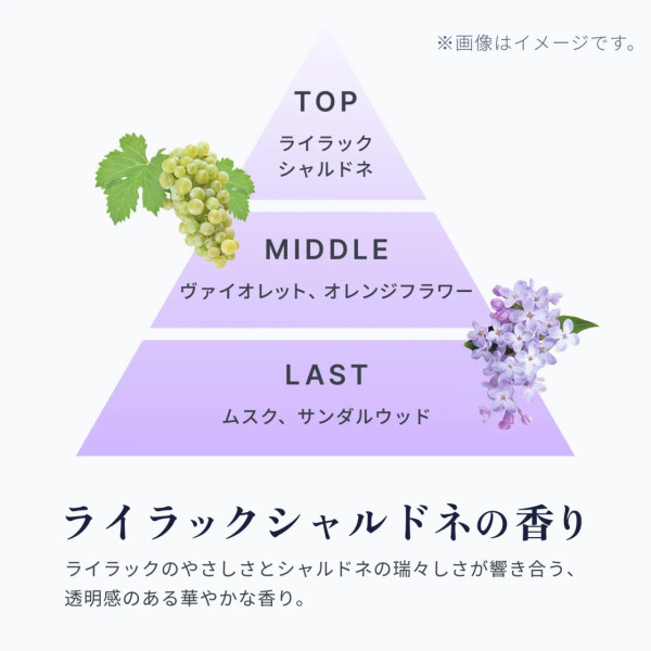 圖片來源:unlabel LAB 官網 遊日必買|日牌洗頭水8款推介最平起!emplir CHANEL香味平替/無矽控油一洗順滑